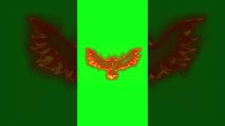 Majestic Phoenix Bird Spreading Its Wings Green Screen Magic