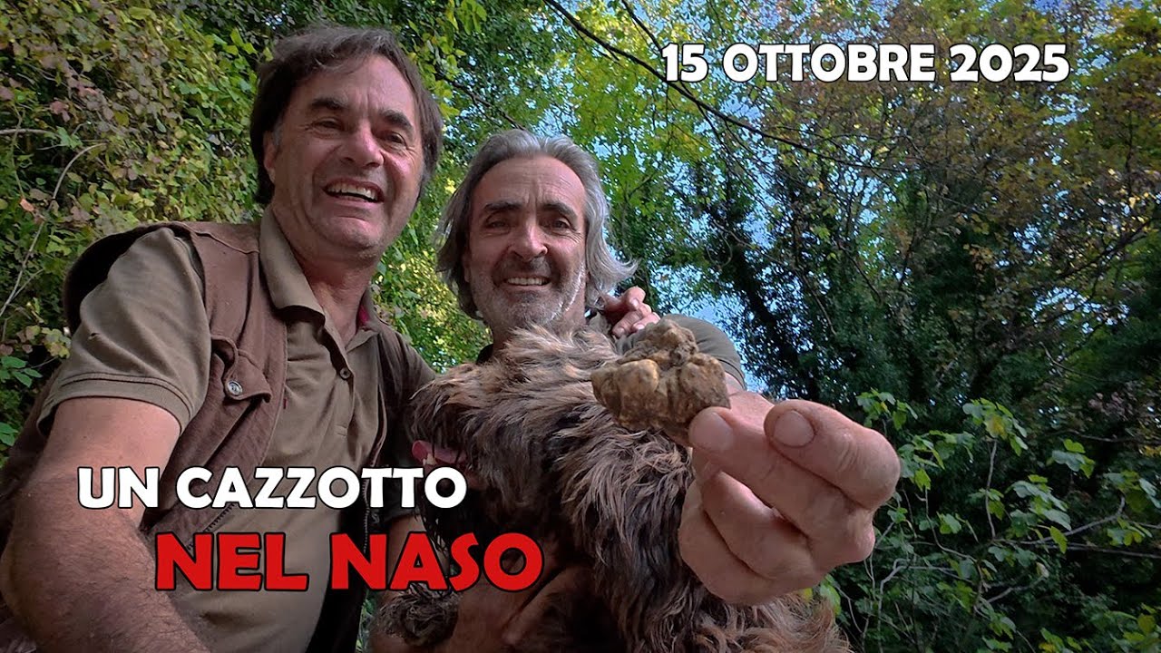 UN CAZZOTTO NEL NASO inizia la ricerca del tartufo bianco in appennino