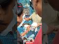 Pet Market Kolkata 😍/lowest price puppy dog/Gallif Street dogs #shorts #viral #dog #dogs #doglover