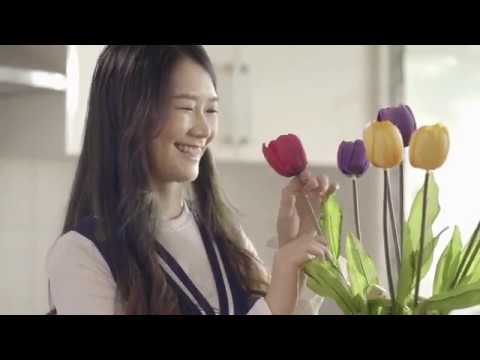 dhipaya insurance New 2022 Dhipaya Insurance