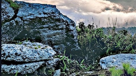 سورة النمل كاملة | Surat An-Naml-|القارئ أحمد بن عبدالعزيز العبيدان