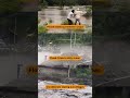 India Floods 2025: From Himalayan Hills to Punjab Fields to Gurugram Streets