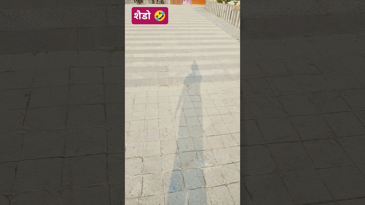 लॉलीपॉप 🤣