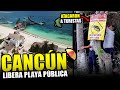 Grandes noticias para Cancún! | hay alerta por cocodrilos, regresan cruceros a Cozumel
