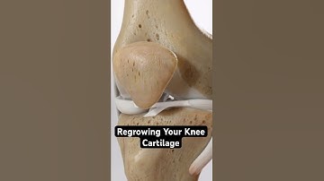 Kan kniekraakbeen teruggroeien?