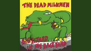 Video thumbnail of "The Dead Milkmen - Laundromat Song"