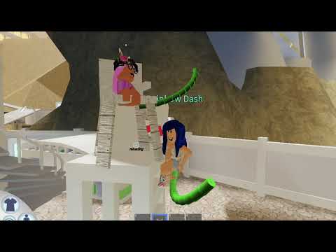 Roblox Pool Noodle Free Roblox Accounts With Bc 2017 - dusk till dawn song id roblox roblox free play bloxburg