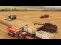 CASE IH Axial Flow 9250 & CLAAS Lexion 770 / Corn Harvest 2021🌽/ Rostěnice, a.s. (1/2) (4K)