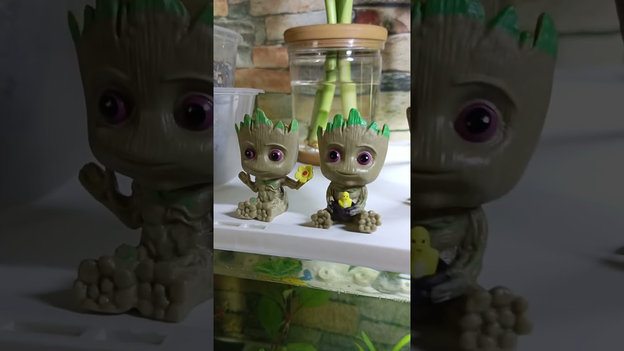 Built a new crib… for my Betta 