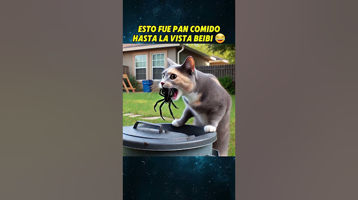 SASY LA CHIHUAHUA CORRE PELIGRO🥲 #chihuahua #perros #mascotas #animales #perroabandonado