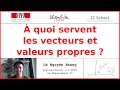  quoi servent les vecteurs et valeurs propres  l nguyn hoang