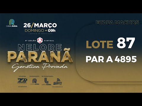 LOTE 87 PAR A4895