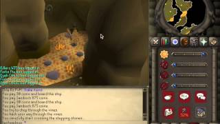07 Old School Runescape Slayer Guide: Bronze Dragons