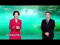 [中国中医药大会]中医专家传授儿童服药妙招|CCTV