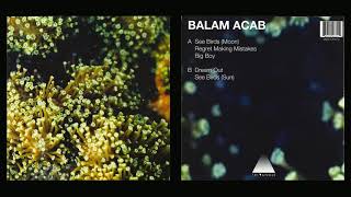 Balam Acab - See Birds 12" (2010)