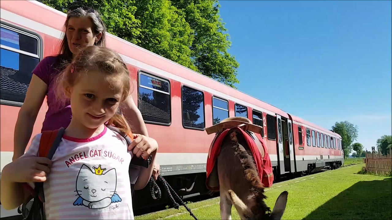 Erlebnisse mit der Räuberbahn: Auf Eseln ins Pfrunger Ried