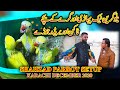Shahzad Parrots Setup December 2020 Breeder Parrots Talking Parrots and Parrots Chicks Updates Video