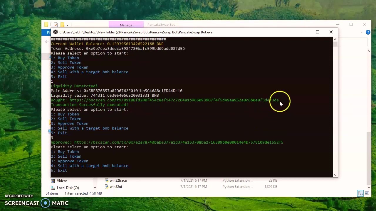 PancakeSwap Bot - Sniper Bot and many more features | New Update 