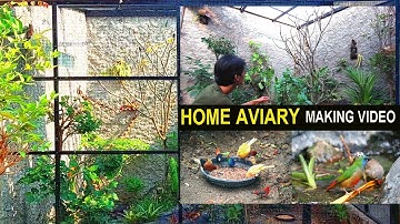 Home Aviary Making Video | Time Lapse | Bird Cage | Aviaries | Exotic Birds