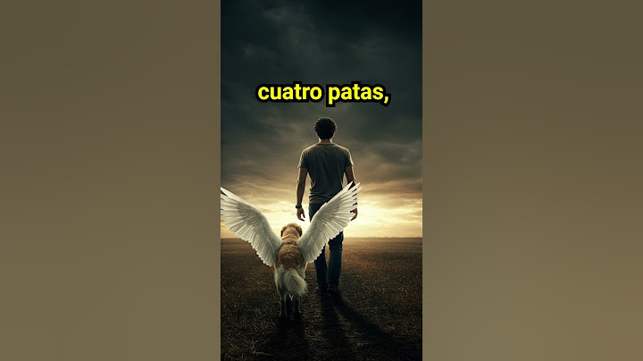 🐶 Ese perrito que llegó a tu vida... no fue casualidad