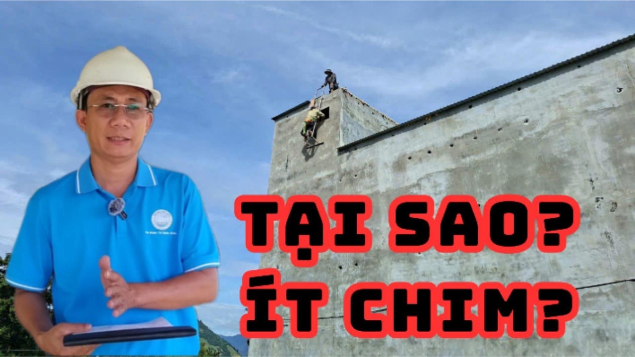 08 Nguyên Nhân Nhà Yến Ít Chim - YẾN SÀO CỬU LONG