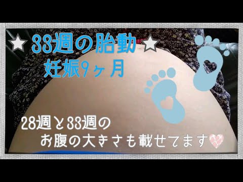 33週の胎動～妊娠9ヶ月.28週と33週のお腹の大きさも載せてます
