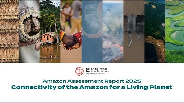 Amazon Assessment Report 2025 - Connectivity of the Amazon for a Living Planet