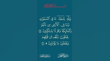 سورة النحل الآية: 49-50