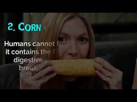 The Shocking Truth About Corn 5 Reasons To Never Eat Corn Again - YouTube