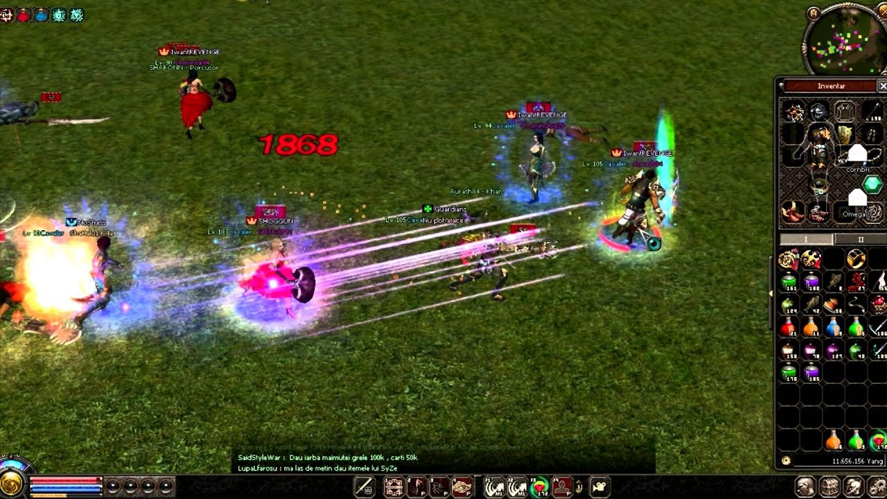 Metin2.Ro Briceagu Ninja Assassin