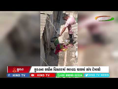 સુરતના સચીન વિસ્તારમાં ભરવાડ ચાલમાં સાંપ દેખાયો