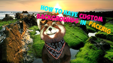 FaceRig - How to use a custom picture as a background