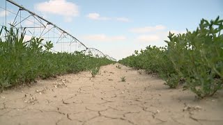 Inflation hits Colorado farmers hard