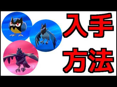 ソードシールド ココガラの種族値 わざ 特性など能力と入手方法 ポケモン剣盾 攻略大百科