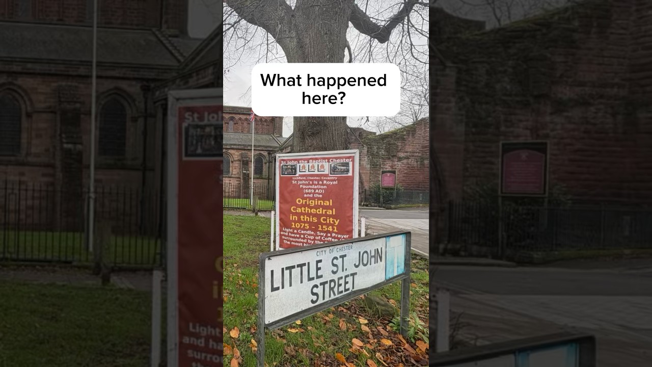 It lingered #chester #shorts