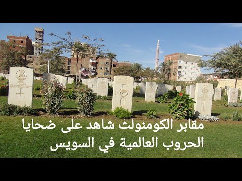 منطقة اليهودية بالسويس مقابر الكومنولث خير شاهد على ضحايا الحروب العالمية على ارض السويس