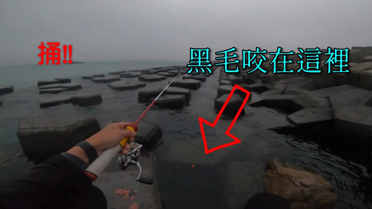 找個洞隨便亂捅，竟然還真的讓我捅到黑毛...台中火力發電廠出水口拿超短桿亂搞之旅 #南投小江 #釣魚 #黑毛