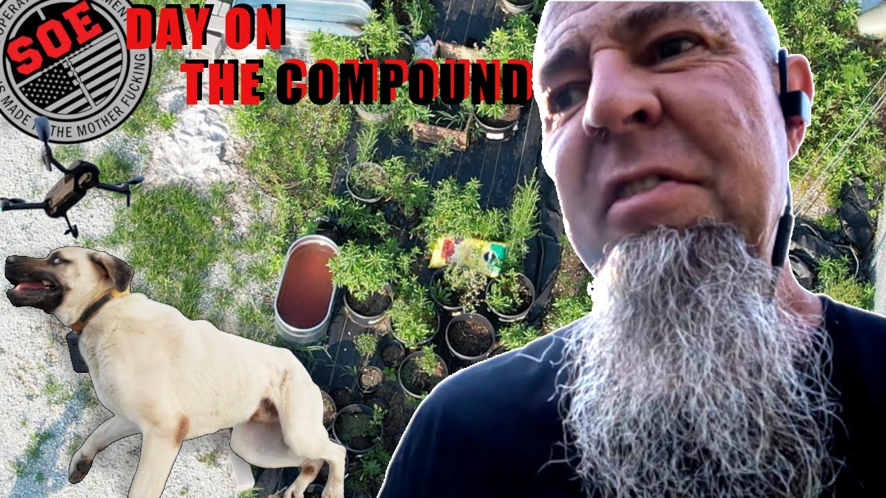 Growing weed in Tennessee? DOC 206 