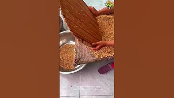 Amazing Smart Tool for Sorting Soybeans – Good Tools and Machinery Can Increase Work Efficiency