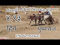 Hira and pushparaj  2 no ke mankari  makodi hingoli shankar pat  493  shankarpat bullrace