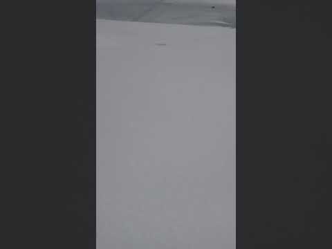 Splitboarding FarNorCal