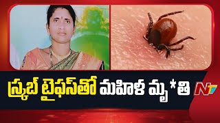 Woman Dies Of Scrub Typhus In Vizianagaram District Ntv Telugu