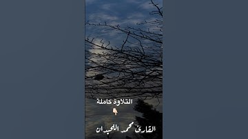 تلاوة رائعة جدآ القارئ #محمد_اللحيدان #محاكاة _الشريم #الشريم #سورة_النحل