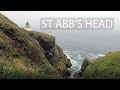 St Abb&#39;s Head, Scotland