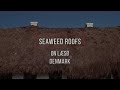 Seaweed Roofs on Læsø, Denmark