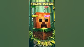 Minecraft Mobs Quiz ✨️😍#minecraft #mobs #quiz #fun #time