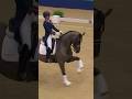 Push up  valegro edit fjordigang dressage equestrian horse horseedit horsejumping edit