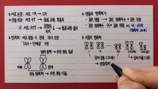 screenshot of the youtube video