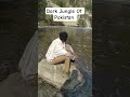 Pakistani Dark Jungle #paktourism #travel #mustwatchshort #beautyofpakistan #aaodekhainpakistan