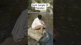 Pakistani Dark Jungle #paktourism #travel #mustwatchshort #beautyofpakistan #aaodekhainpakistan
